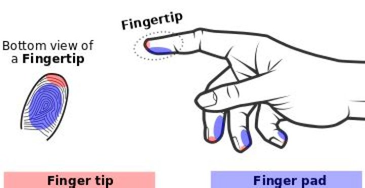 Where is the finger pad