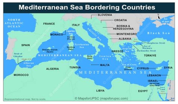 Where is the Mediterranean biome located