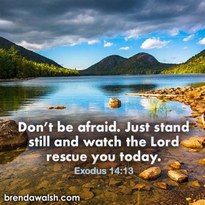 Where is the scripture peace be still