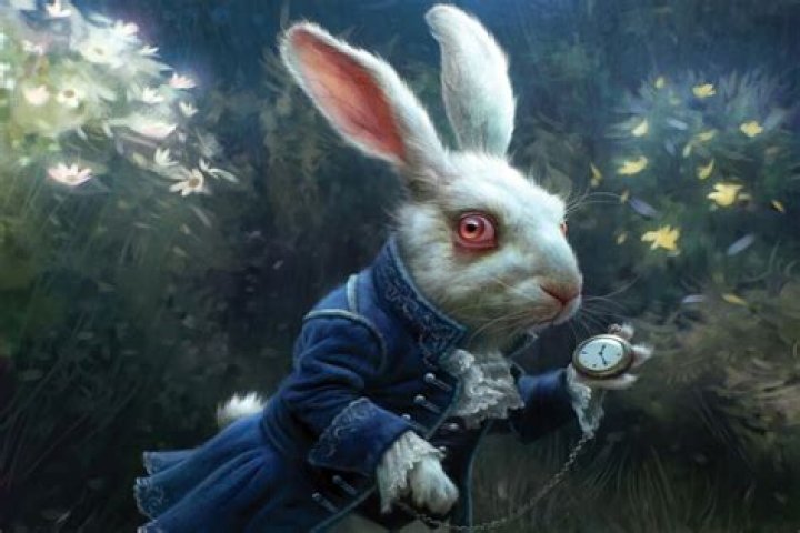 Which animal does Alice follow into Wonderland