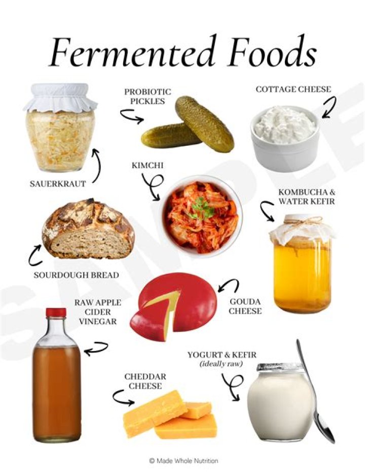 Which are the fermented foods
