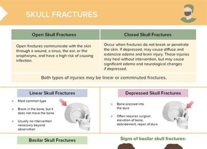 Which aspect of the skull is most vulnerable to fracture