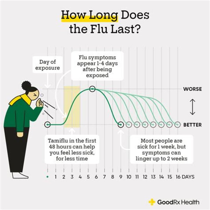 Which flu is going around 2019