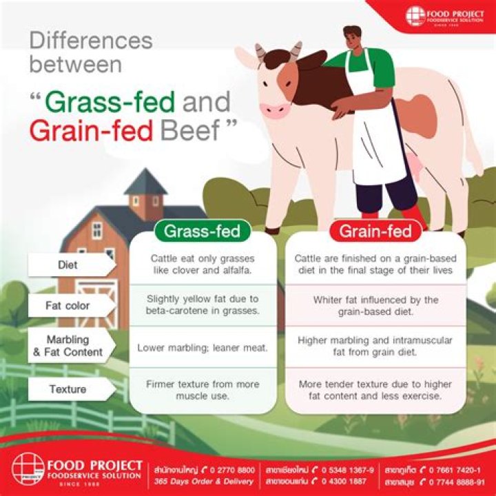 Which is better grain fed or grass fed
