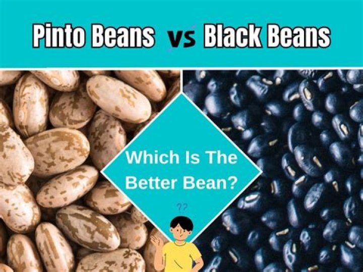 Which is more nutritious white or brown beans