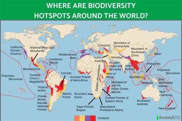 Which is the best definition of a biodiversity hotspot