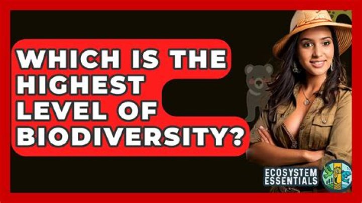 Which is the highest level of biodiversity *