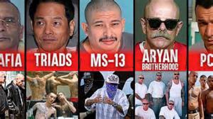 Which is the most dangerous gang