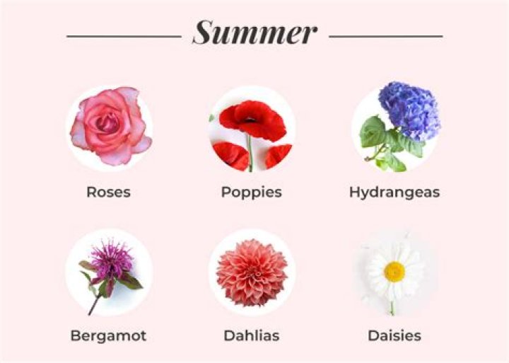 Which is the season of flowers