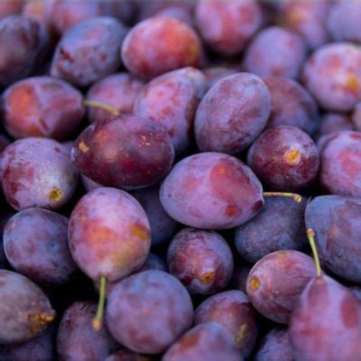 Which is the sweetest plum