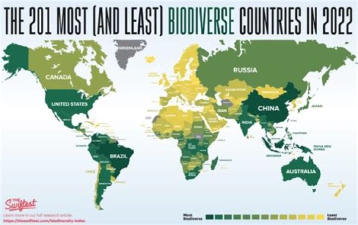 Which kingdom has the most biodiversity
