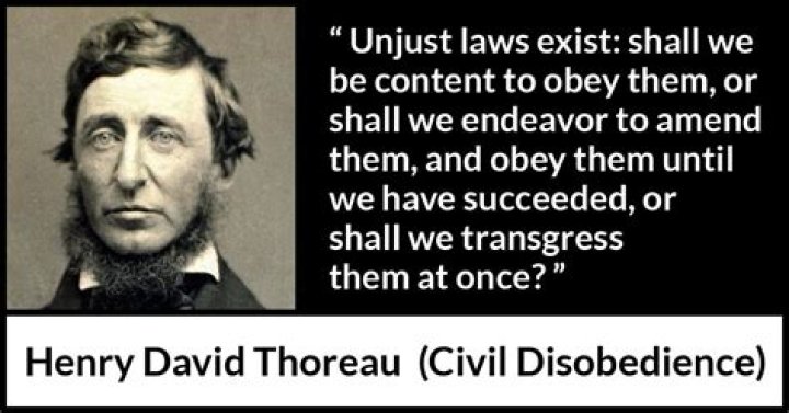 Which laws will Thoreau obey