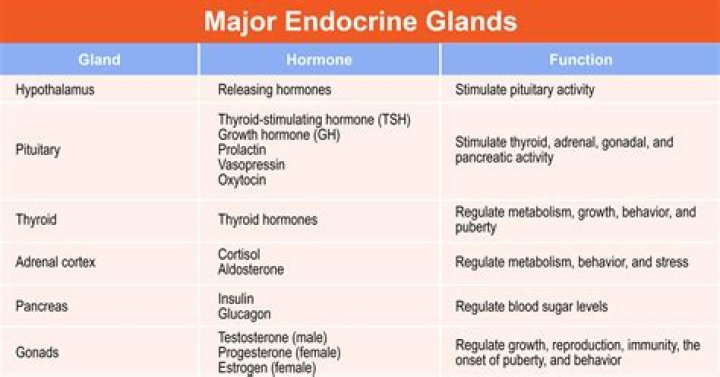 Which of the following is a renal hormone that stimulates hematopoiesis