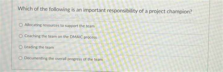 Which of the following is an important responsibility of a project champion