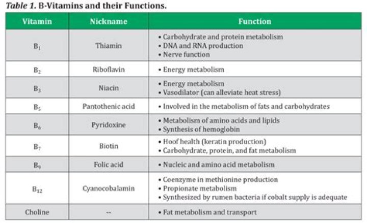 Which of the following vitamins is linked with antioxidant function