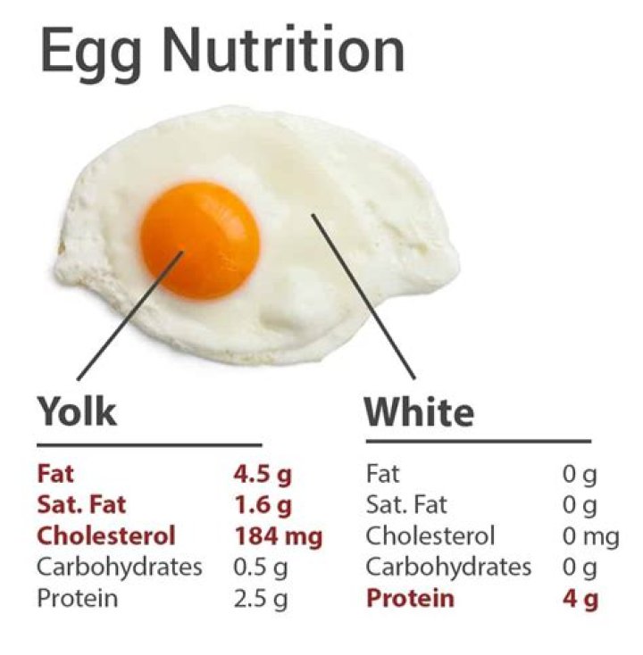 Which part of egg contains fat