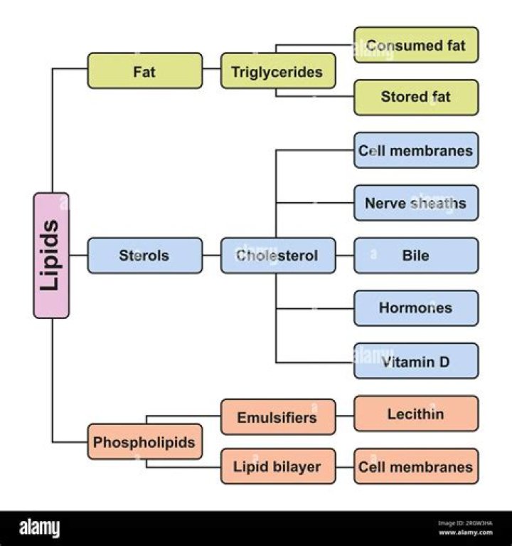 Which property is shared by all members of the lipid class