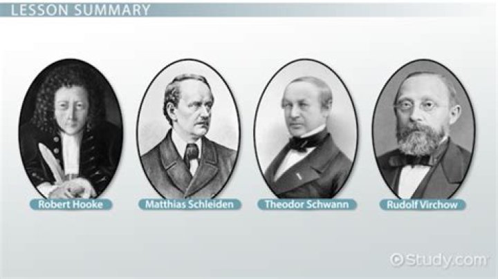 Which scientists discovered the 4 human blood types