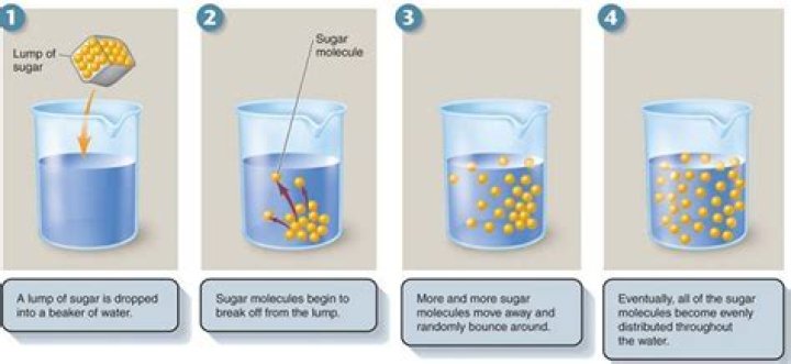 Which sugar dissolves fastest in water