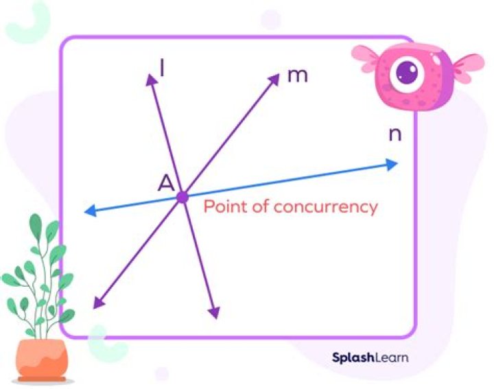 Which two points of concurrency can you locate by only drawing perpendicular segments