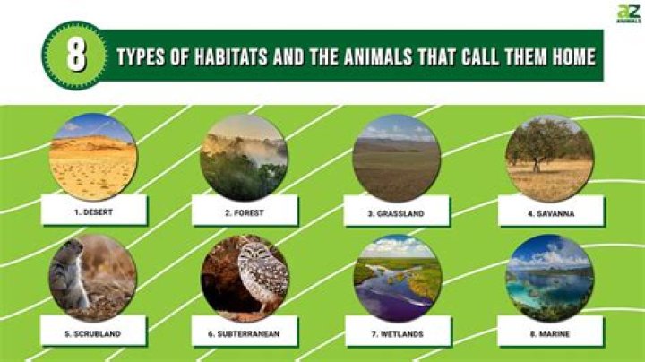 Which type of habitat would have greater species diversity