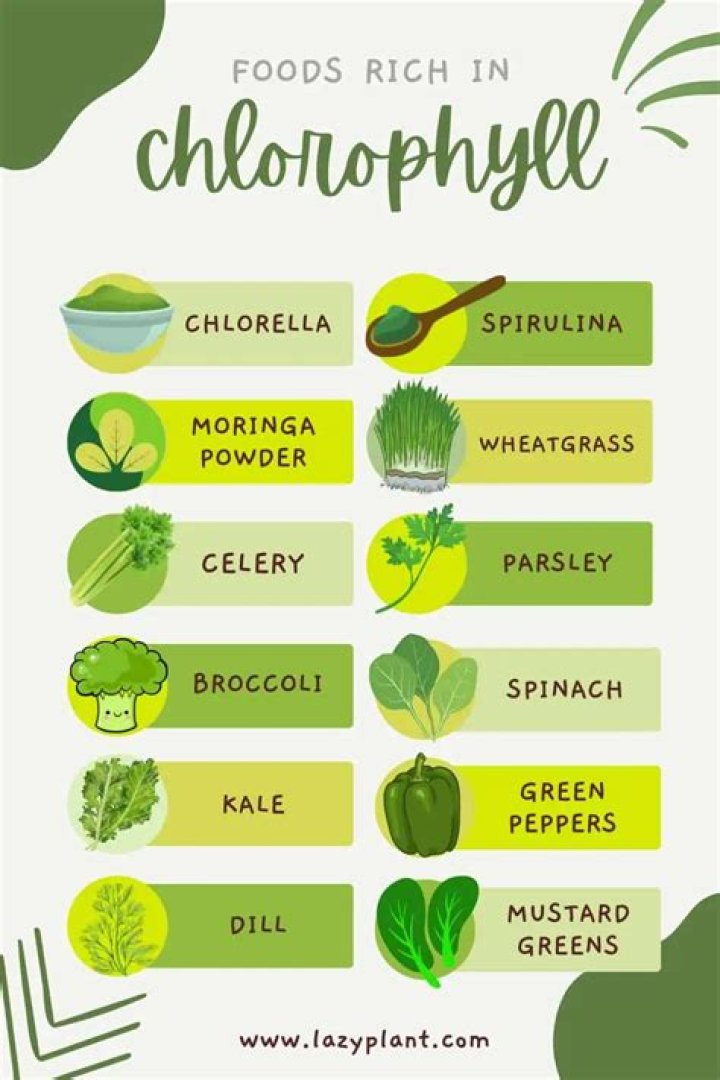 Which vegetables are high in chlorophyll