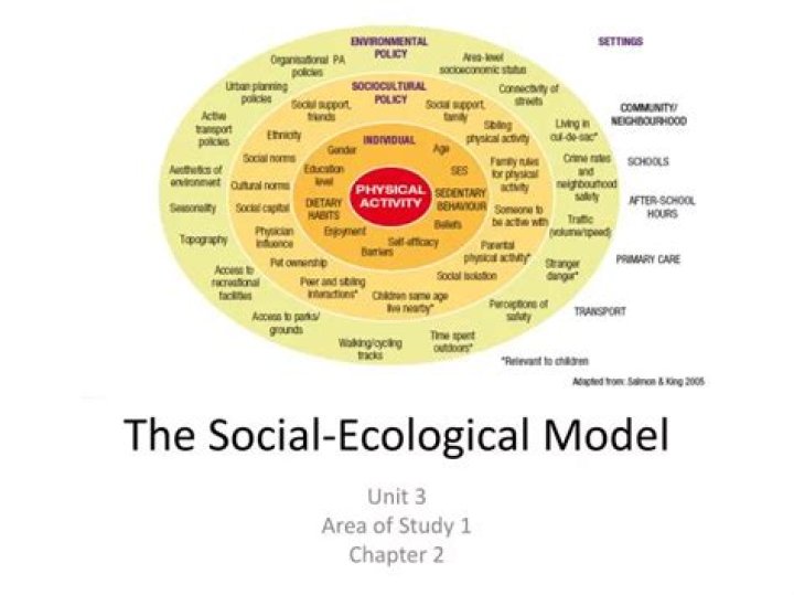 Who developed the social ecological model
