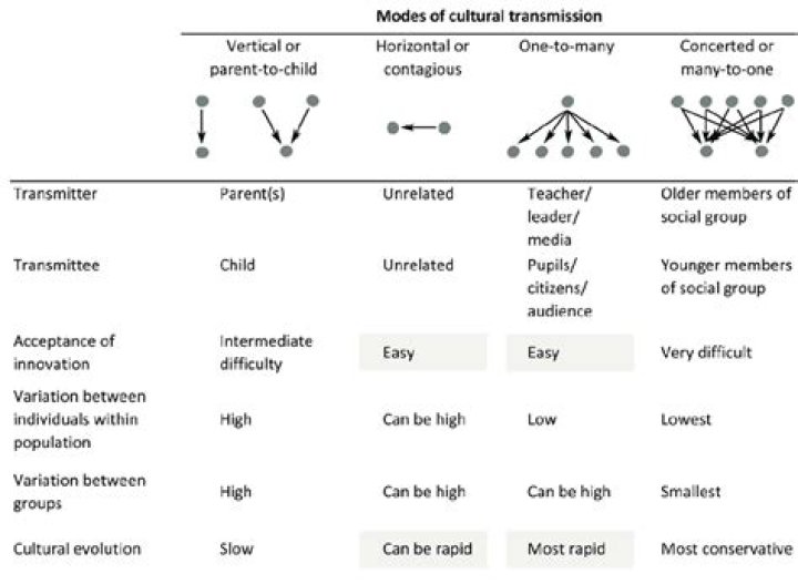 Who invented cultural transmission theory