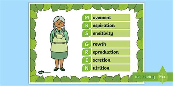 Who is Mrs Gren
