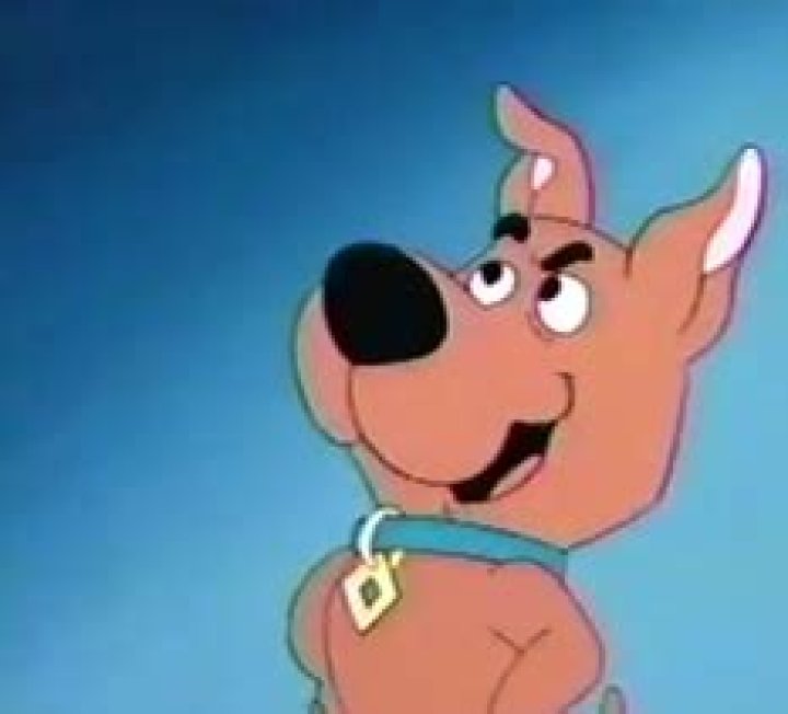 Who is Scooby Doos cousin