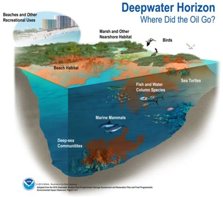 Who made the Deepwater Horizon blowout preventer