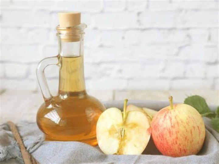 Why are gnats attracted to apple cider vinegar