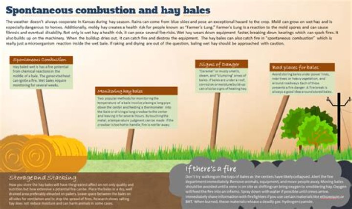 Why do haystacks spontaneously combust