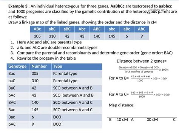 Why do recombination frequencies not add up