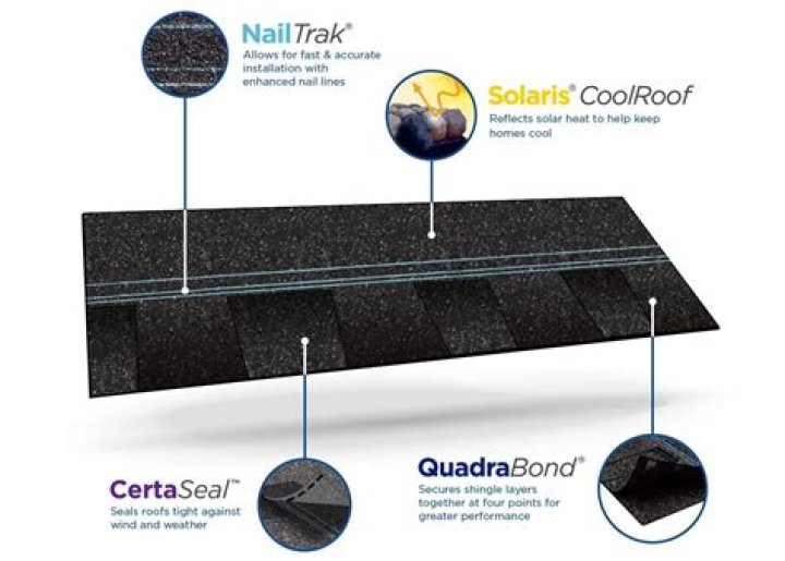Why do roof shingles turn black