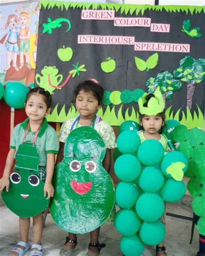 Why do we celebrate Colour day in school