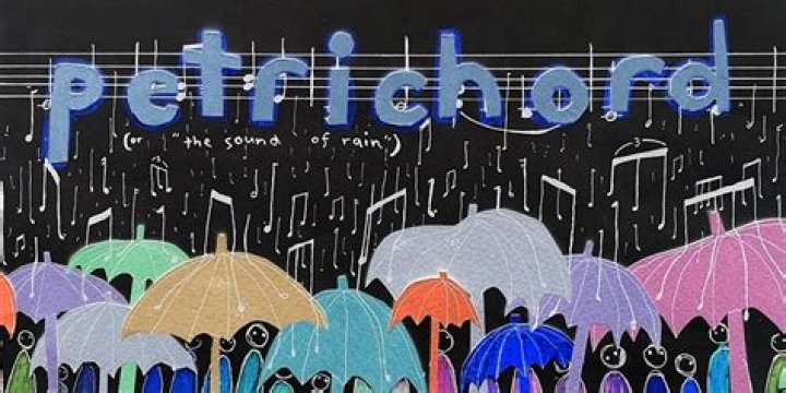 Why do we like the sound of rain