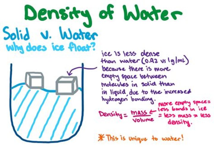 Why does a less dense float