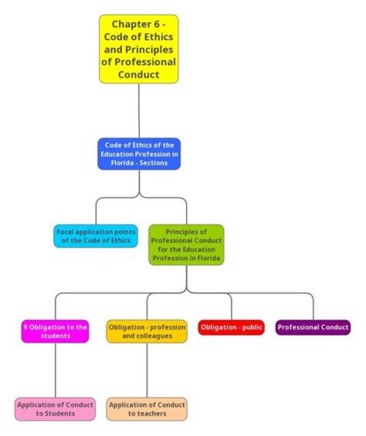 Why does a project manager need a code of ethics and professional conduct