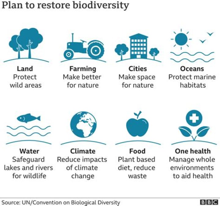 Why does the biodiversity of an ecosystem affect its resilience