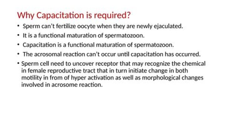 Why is capacitation required before fertilization