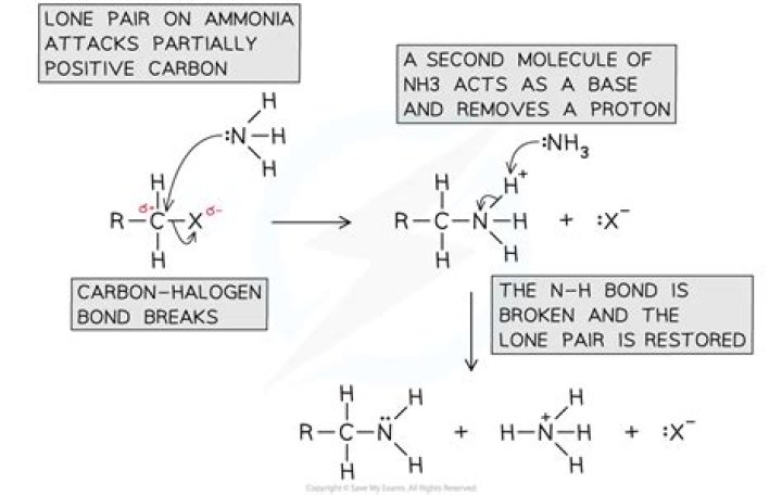 Why is excess ammonia used in nucleophilic substitution