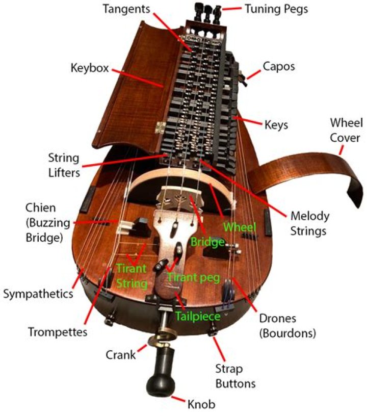 Why is it called a hurdy gurdy