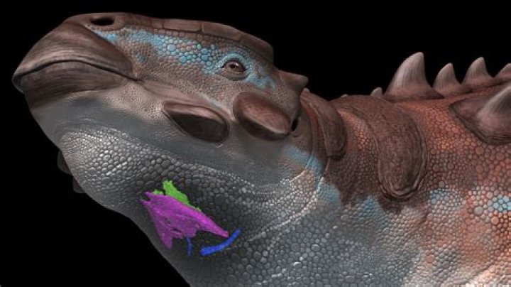 Why is it called a software wizard