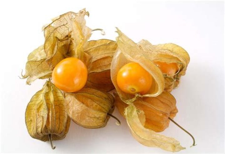 Why is it called Cape gooseberry