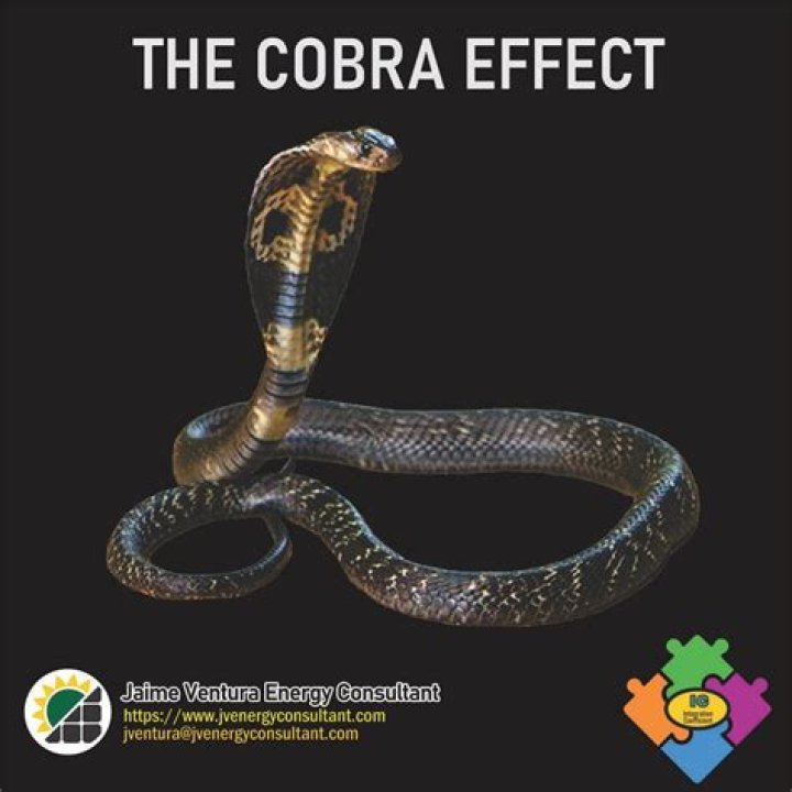 Why is it called Cobra effect