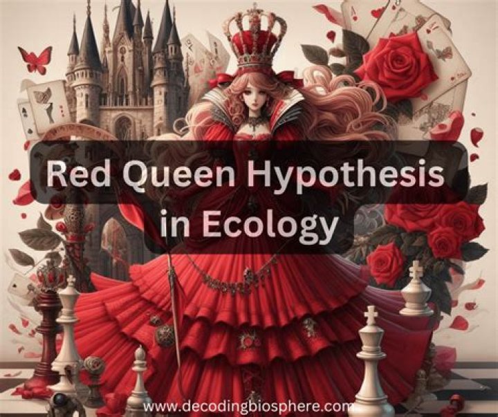 Why is it called the Red Queen hypothesis