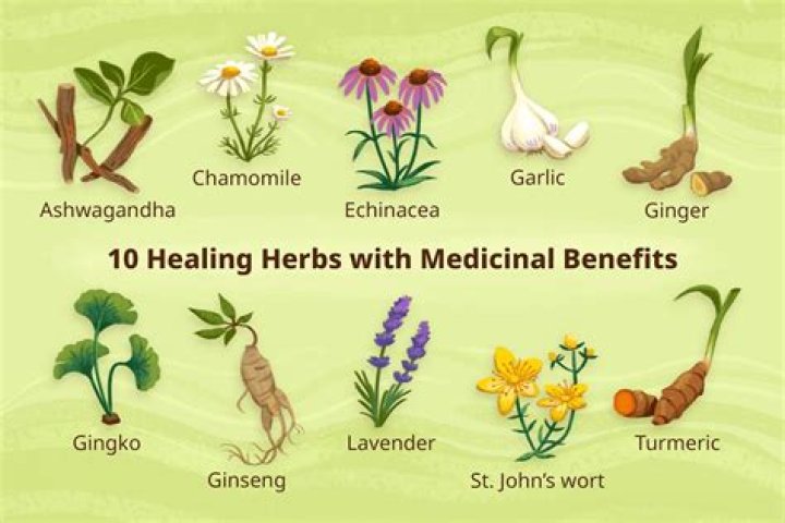 Why is it important for clients to disclose the use of herbal remedies to their health care providers