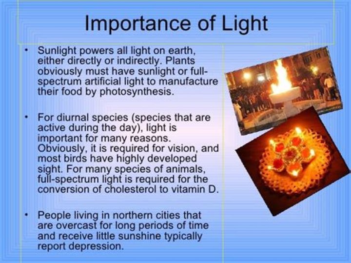 Why is light energy important