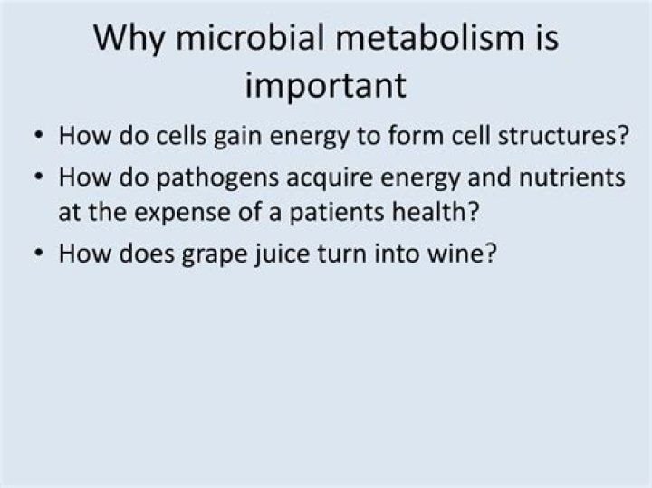 Why is microbial metabolism important
